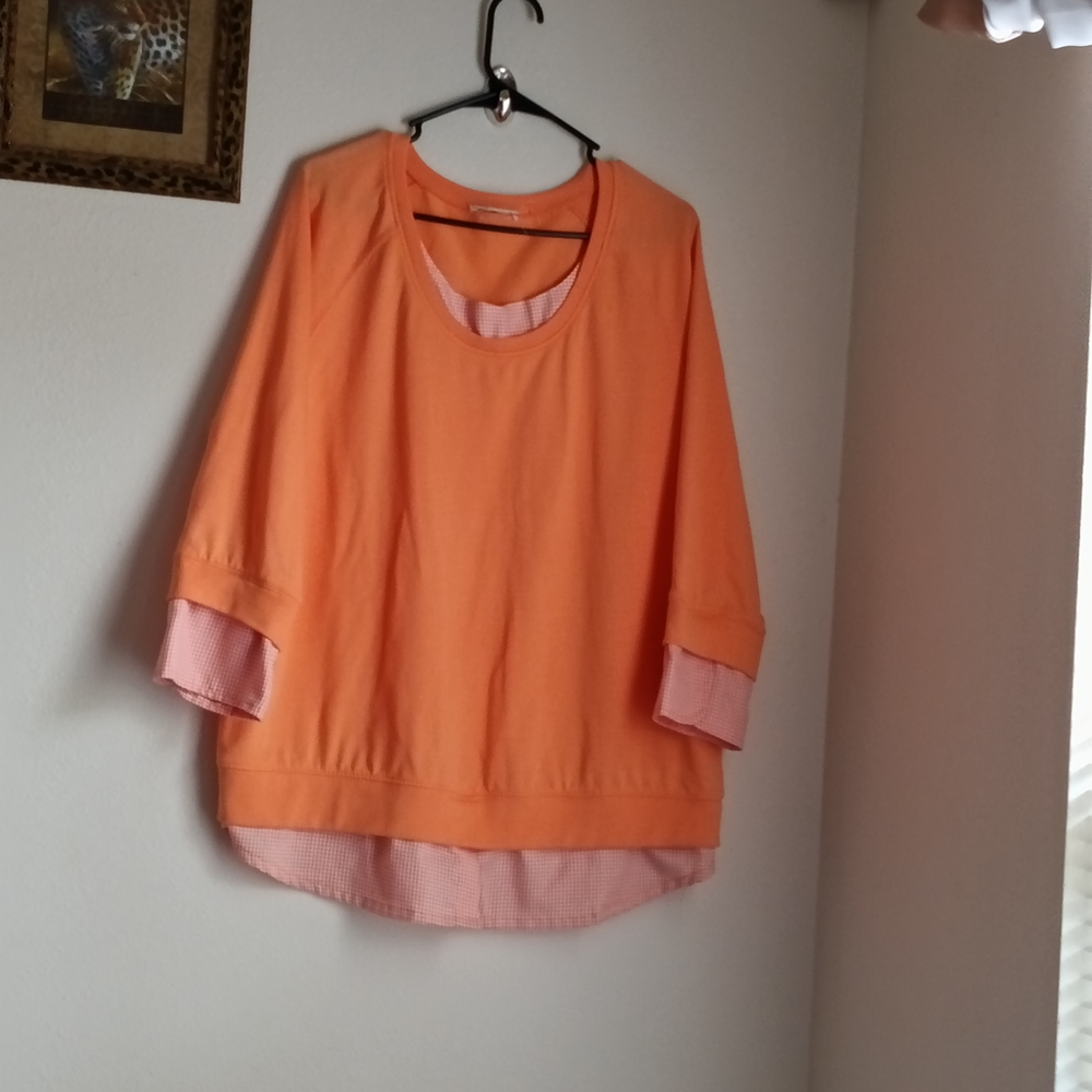 Unbranded Blouse Women 1X Multicolor Elegant Academia Preppy Versatile Office